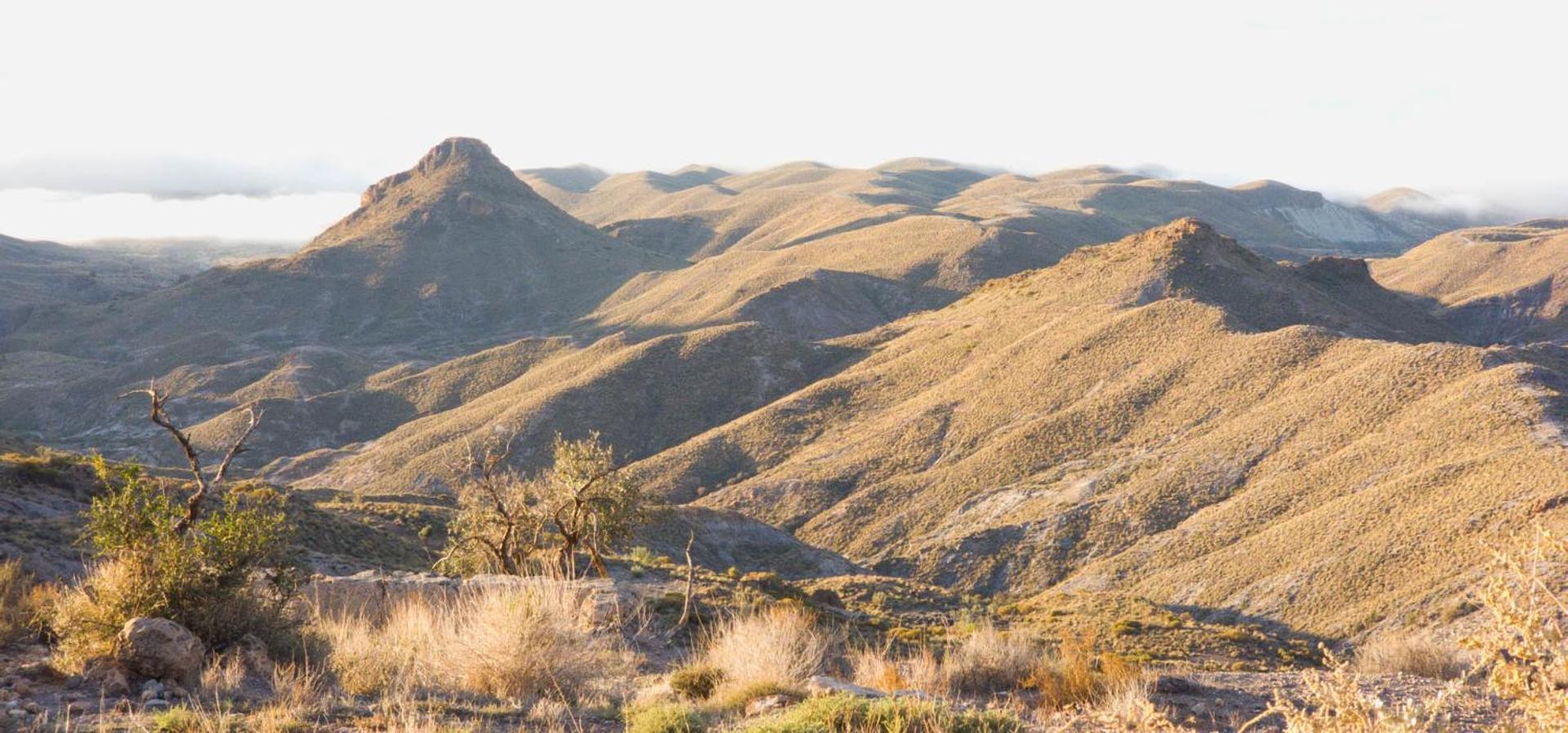 Cortijo El Albaricoque De La Sierra - Finca De 75 Hectareas ! Níjar Exteriör bild