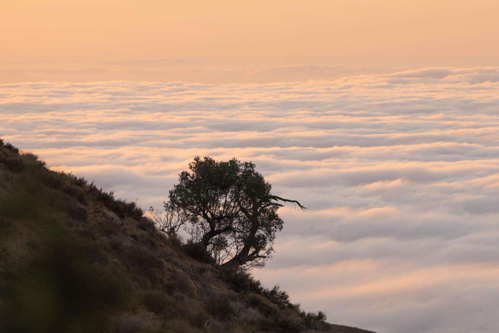 Cortijo El Albaricoque De La Sierra - Finca De 75 Hectareas ! Níjar Exteriör bild